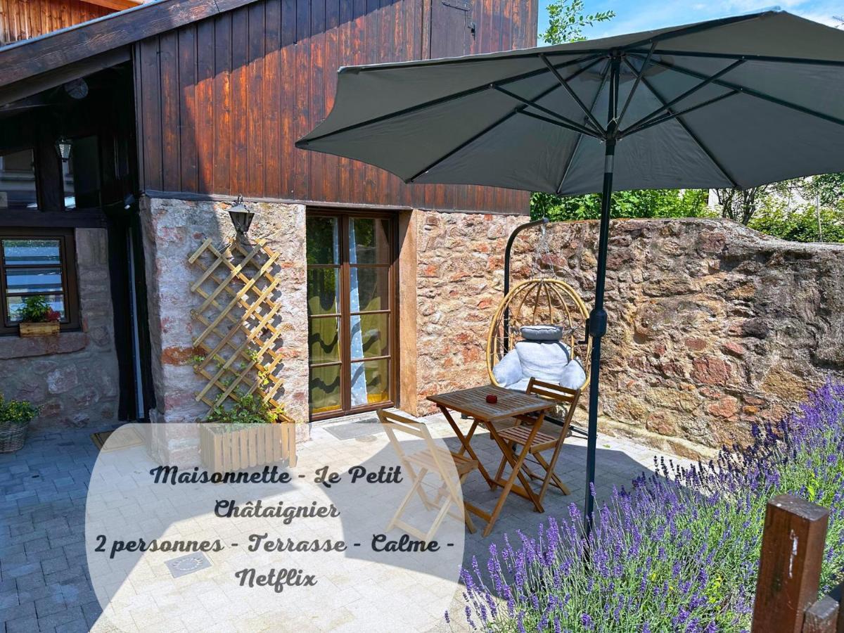 Le Petit Chataignier - Cozy Immo Chatenois  Exterior photo